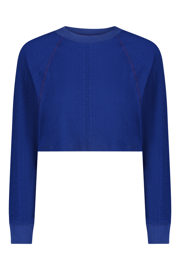 Discover the Isabella Pullover by Gigi C Sport: a cropped, long-sleeve sweater in vibrant blue featuring a textured pattern. Its loose fit and round neckline provide comfort, ribbed cuffs add style, and the slightly raised fabric texture enhances its unique design.