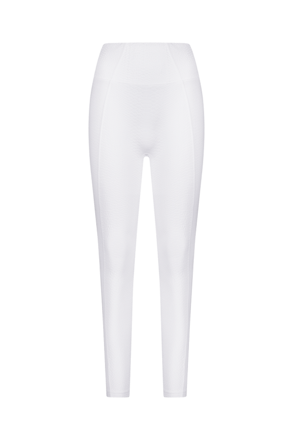 The Ava Legging by Gigi C Sport features a high-waist, seamless design with a form-fitting silhouette. Made from bi-stretch compression material, they offer flexibility for yoga or running. The breathable fabric enhances performance against a plain white backdrop.